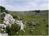 Globasnitz - Petzen (Kordeschkopf) (Peca (Kordeževa glava))